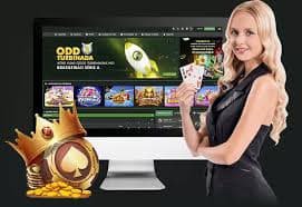 VIP membership program အဆင့်မြင့် platinum gold rewards card မြင်ကွင်း